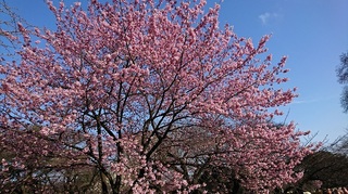20170324-2.jpg