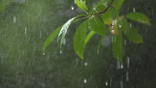 雨.jpg