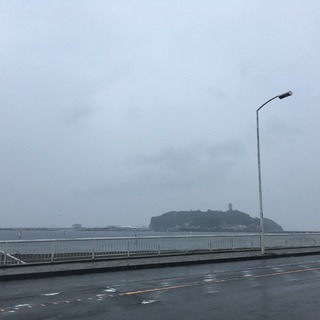 IMG_7234.jpeg