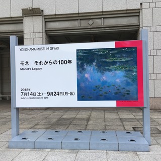IMG_7948.jpeg