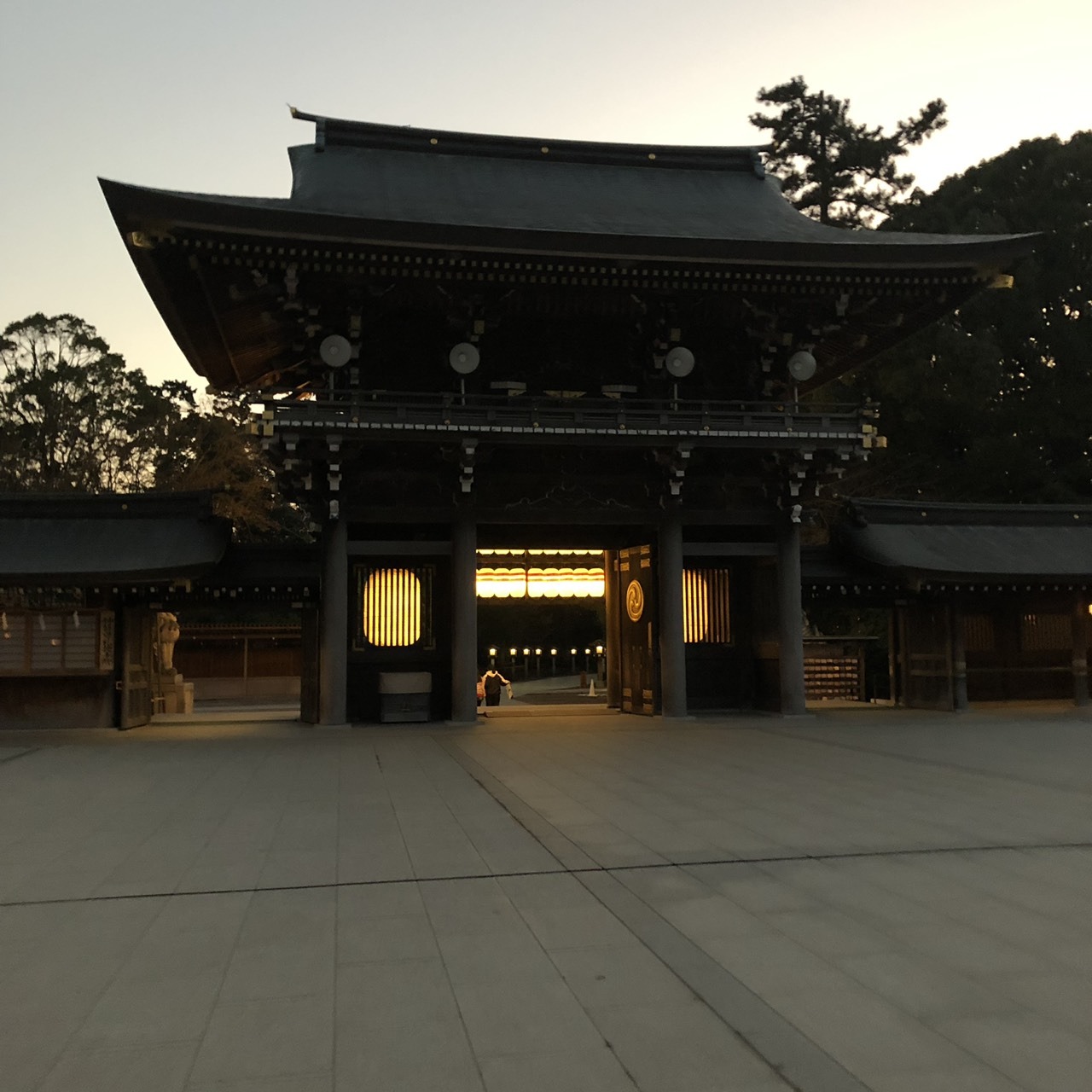 S__29179907.jpg