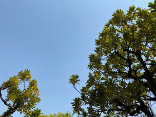image0 (3).jpeg