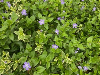 image1(1).jpeg