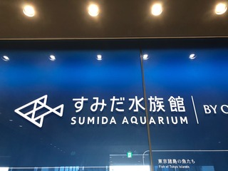 image2.jpeg